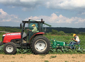 Tractor in the Fields at The Tree Farm, the Pick-your-own Vegetables Place